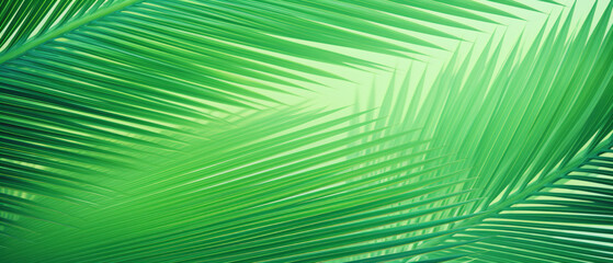 Striped of palm leaf Abstract green texture background