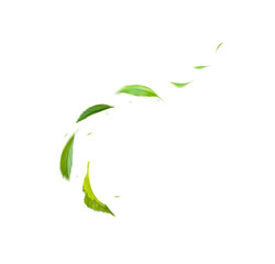 Fototapeta na wymiar Green Floating Leaves Flying Leaves Green Leaf Dancing, Air Purifier Atmosphere Simple Main Picture.