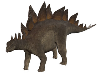 Fototapeta premium Stegosaurus dinosaur 3d perspective view