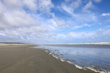Wunderschöner Strand in Neuseeland mit Möven 
