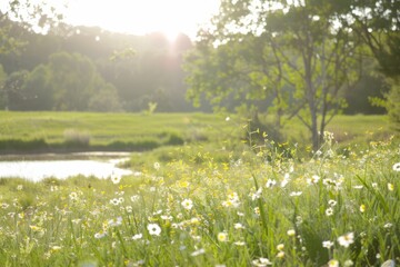 Soak up the sun in summertime, where lazy days are spent picnicking in meadows, swimming in cool streams, and chasing fireflies at dusk, Generative AI