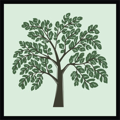 Obraz premium Willow color vector illustration