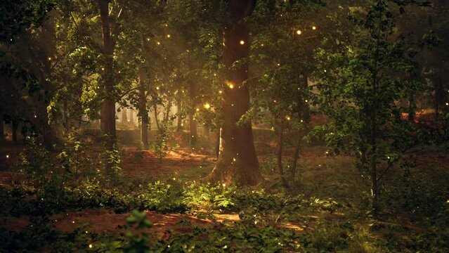A Forest Filled With Lots of Trees Covered in Lights