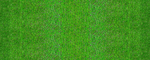 Artificial Green Grass Texture