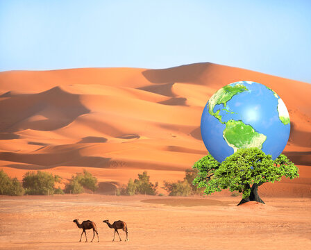 Earth day. Planet on green leaves on tree in sand desert. Ecology, go green, environmental and conservation protection. Concept of global warning, climate change and dying Earth. 3d render