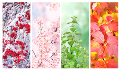 Four seasons of year. Set of vertical nature banners with winter, spring, summer and autumn scenes....