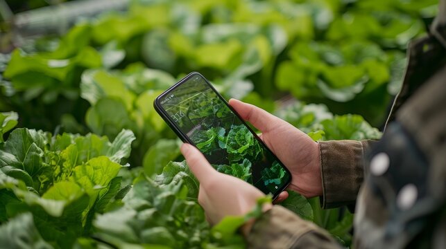 Smartphone Control Revolutionizing IoT Agriculture with Virtual Network Sensors