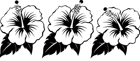 black and white flowers