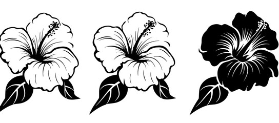 illustration of a flower