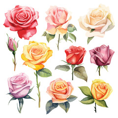 Assorted Roses Water colour Roses Clipart 