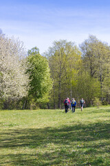 Group with hikers walking on a path in spring