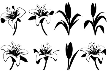 set of black and white flowers
