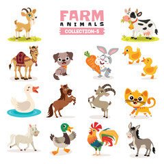 Fototapeta premium Set Of Various Farm Animals