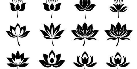 set of black and white tulips