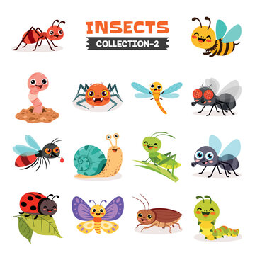 Set Of Various Cartoon Insects