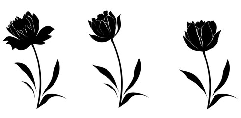 silhouette of a flower