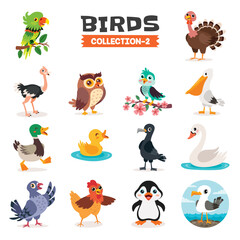 Fototapeta premium Set Of Various Cartoon Birds