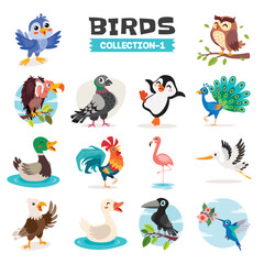 Naklejka premium Set Of Various Cartoon Birds