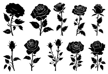 set of poppies