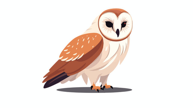 Barn-owl widely distributed species of owl cartoon
