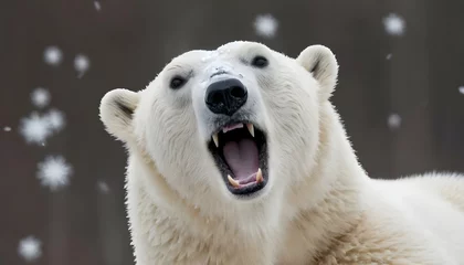 Fotobehang A Polar Bear With Its Tongue Outstretched Catchin © Fatima