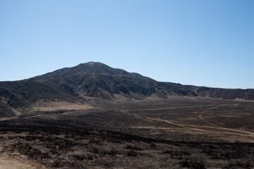 野焼き後の草千里