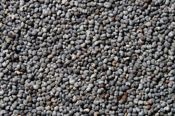 Dried poppy seeds, texture, background. Macro shot.