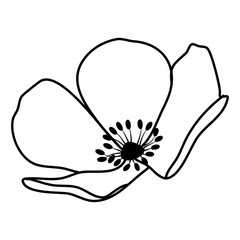 line art flower isolated outline vector illustration