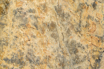 surface of the marble with brown tint - 761204979