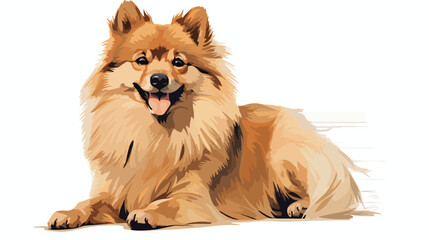 Sketch of dog German spitz klein flat vector  - obrazy, fototapety, plakaty