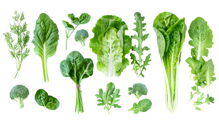 Healthy fresh green leaf lettuce vegetables on white background. PNG file