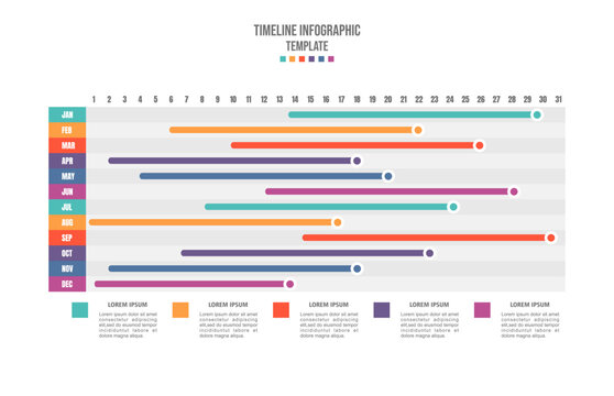 Infographic template, 12 options modern, Timeline diagram calendar  presentation vector infographic 