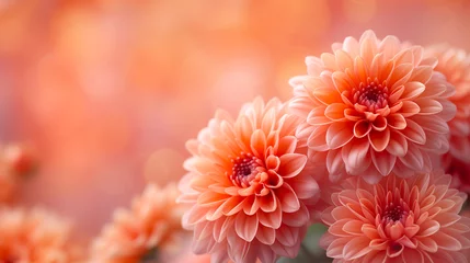 Foto op Plexiglas Beautiful orange dahlia flowers with bokeh background. © Виктория Дутко