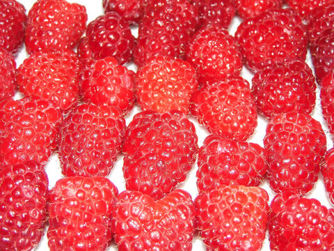 Group of fresh raspberry. Macro view