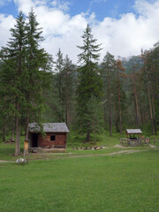 Small Wooden FacilitiesUsed as Mountain Shelters Nestled in the Woods