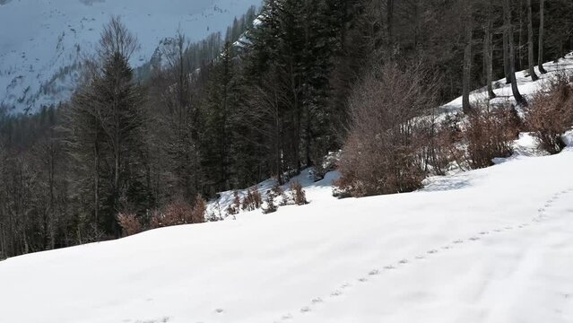 Climb to the Grago refuge. Val Saisera between Montasio and the Julian Alps.