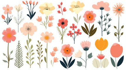 flowers flat vector with white background 