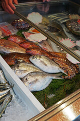 Close up Fresh and raw seafood displayed on fish market shelf
