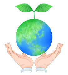 地球と包む手　環境　エコ　エコロジー　素材　イメージ　サスティナブル　脱炭素　SDGs     ナチュラル　芽　世界　挿絵　白背景　白バック　透過
