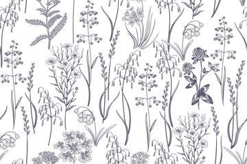 Cereals, herbs and wildflowers. Simple floral seamless pattern. - 761226132