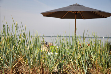 Dünengras am Dümmer See in Lembruch: Chillen am Wasser mit Sonnenschirmen, Strand und Urlaubern.
