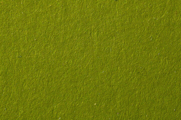 green fluffy velvet texture background. Green velvet fabric