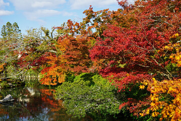 Natural landscape of Maple Autumn leaves changing color park at Tenryuji garden temple with river pond- Kyoto, Japan