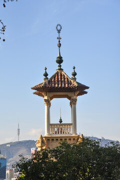 beautiful tower in barcelona with trees with the Torre de Collserola