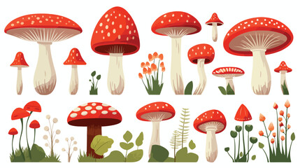 Cartoon mushrooms. Vector illustration print for background