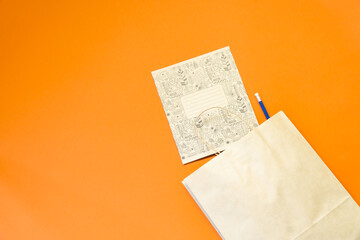 Top view brown paper shopping bag on colourful background, Mock-up of blank brown paper shopping bag and copy space. Flat lay.