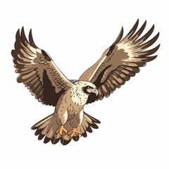 A majestic hawk illustration soaring high in the sky