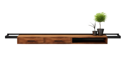 A potted plant sits gracefully on a rustic wooden shelf