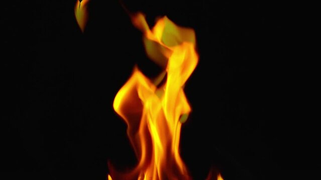 burning fire flames on black backgroud.