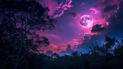 Foto op Canvas Night violet natural sky,round moon on the jungle © Crazy Dark Queen